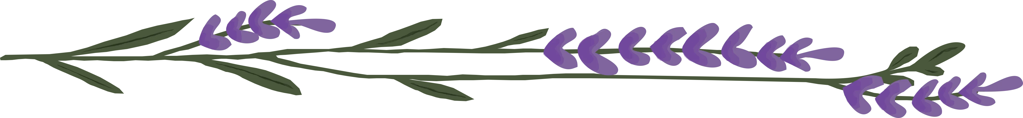 Lavendar